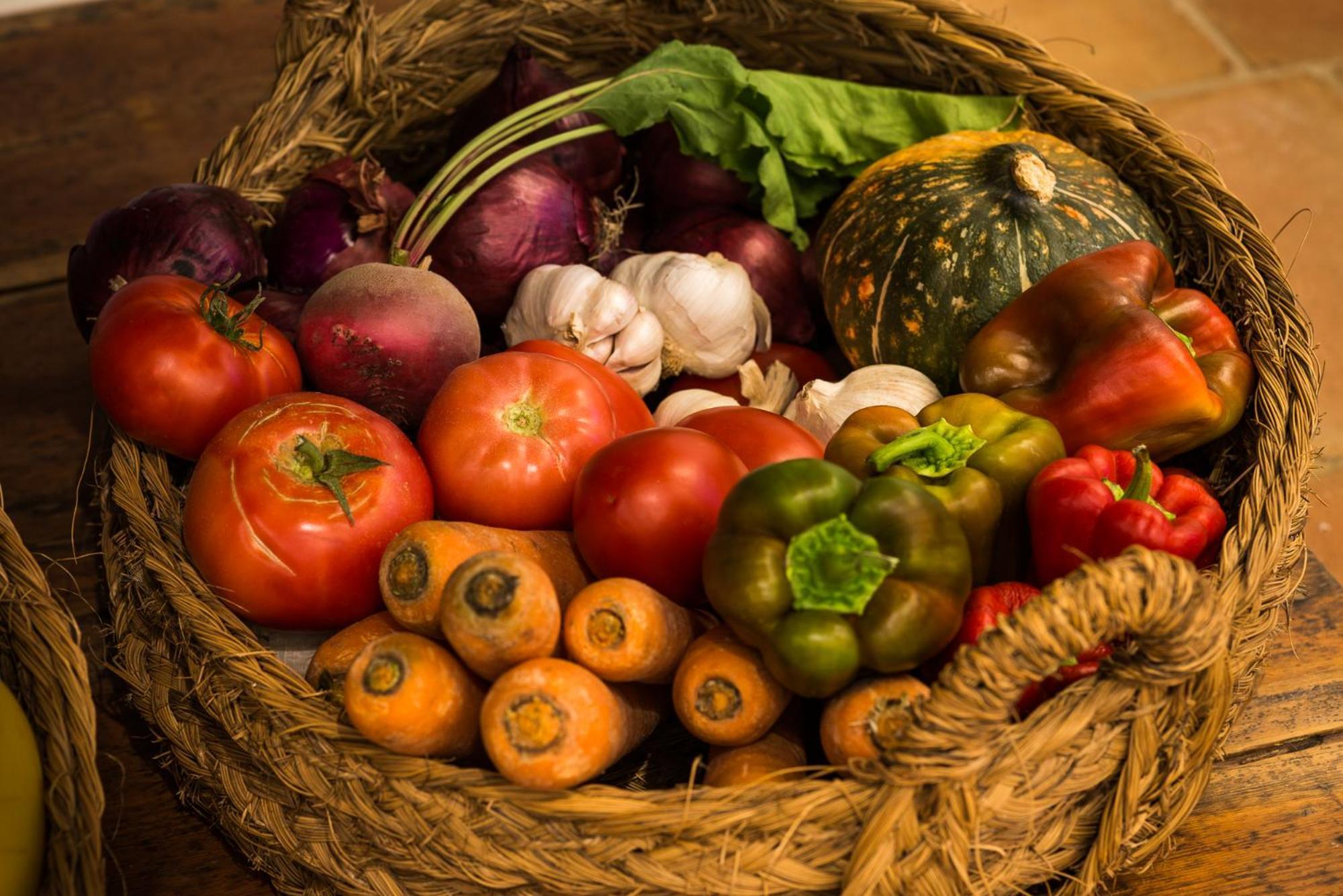 Altanure Almatere - Food Forest Boutique Stay Tavira Ngoại thất bức ảnh
